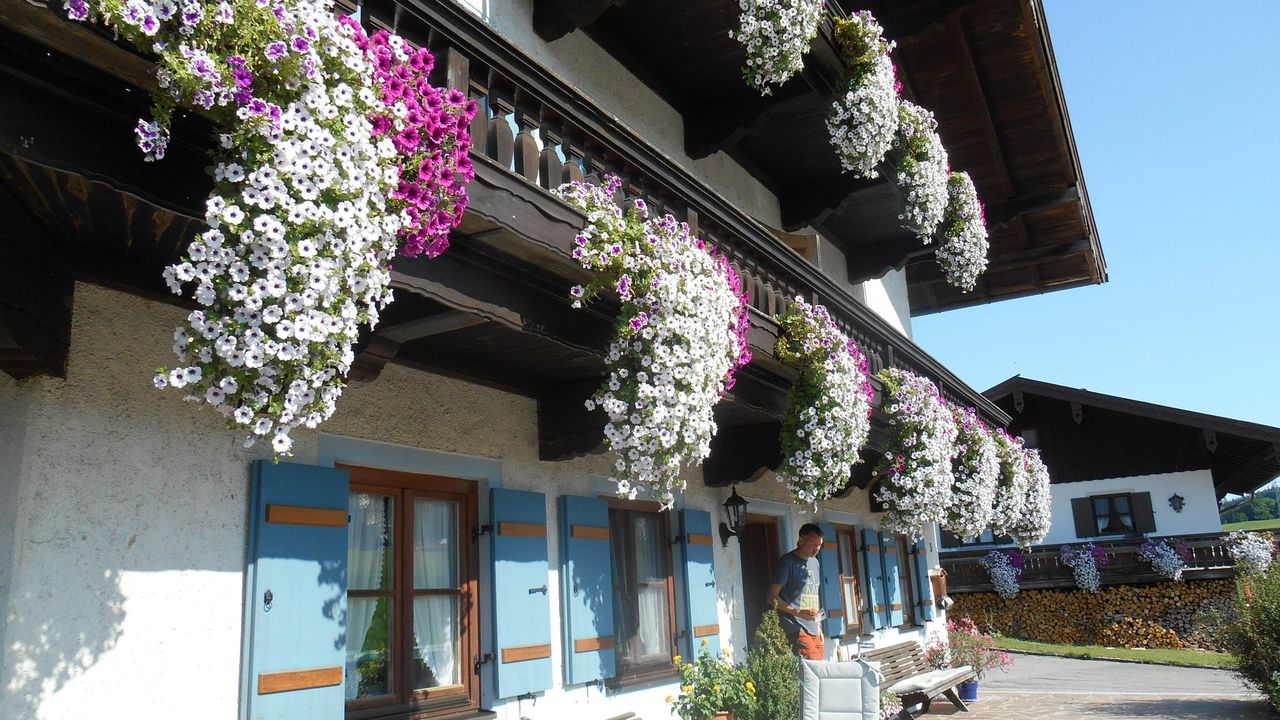 Blumenpracht Blumenpracht